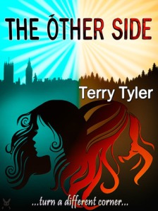 THE OTHER SIDE by Terry Tyler